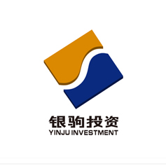 上海银驹投资有限公司企业LOGO设计