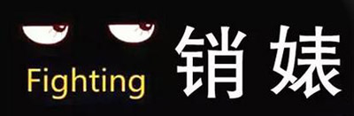 囧！2015年营销界销售人员业绩,能力评估新名词详解-时尚网络新语“销婊”火爆来袭