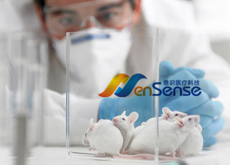 2015年3月31日上海设计公司网与恩识医疗科技领导洽谈5月份内地省份展会设计沟通事宜