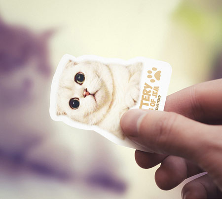 视觉碰撞创意-国外精美宠物用品,宠物店,宠物食品（粮）,宠物相关门户网站LOGO/VI-名片-包装设计