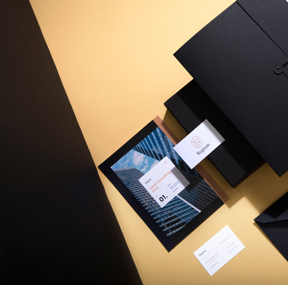 Regium房产投资咨询公司形象VI设计