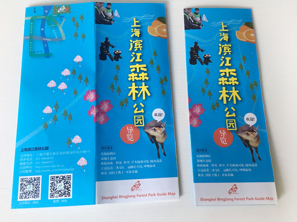虔城最新折页设计制作拍摄-上海滨江森林公园园内游玩引导折页设计